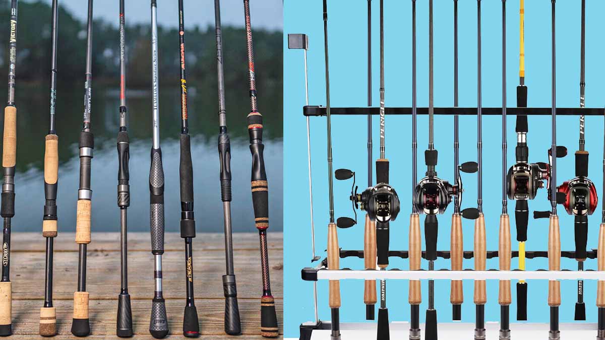 Picture of Best Casting Rods