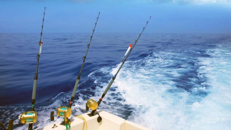 The Ultimate Guide to Deep Sea Fishing: Discover, Prepare, and Embark