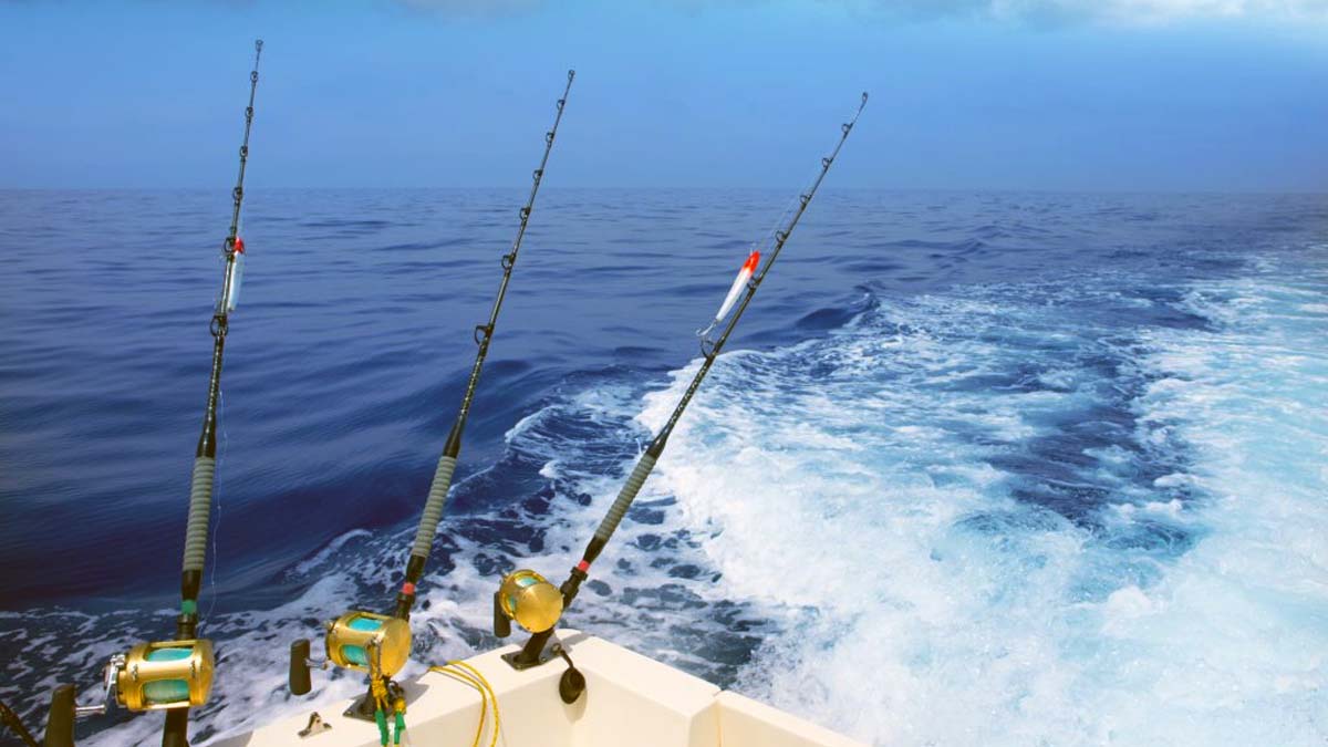 Picture of Deep Sea Fishing Ultimate Guide