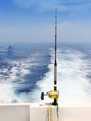Deep sea fishing rod